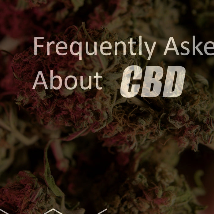CBD Oil Supplementation - 16 Keys to Consider