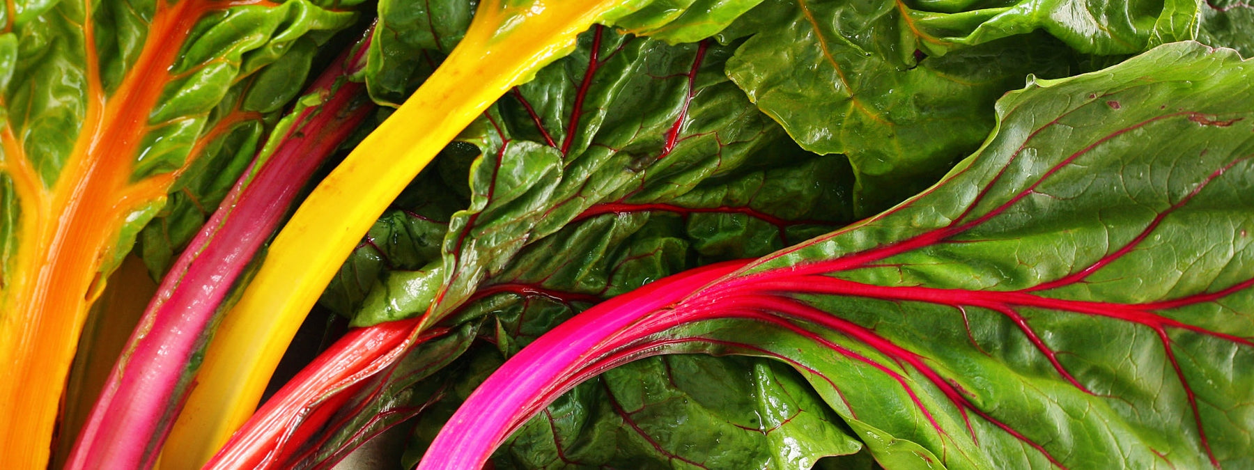 Swiss chard as a food high in magnesium