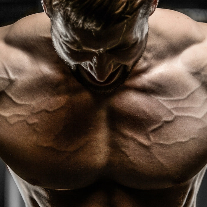 6 Chest Growth Exercises You Need to Try