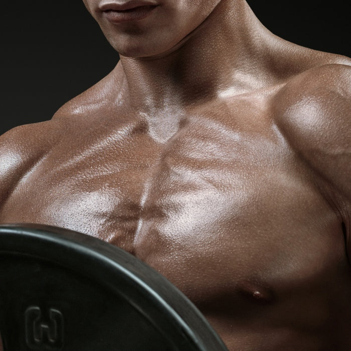 Seven Habits of Highly Effective Lifters