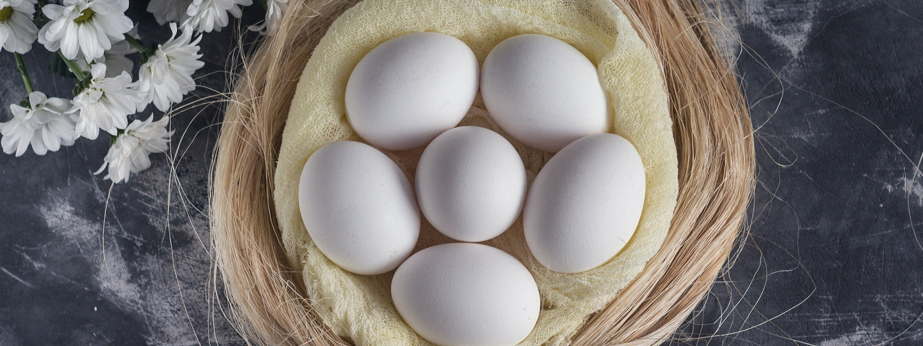 Choline-rich foods important for overall health