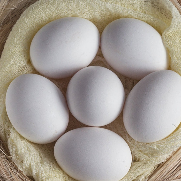 Choline-rich foods important for overall health