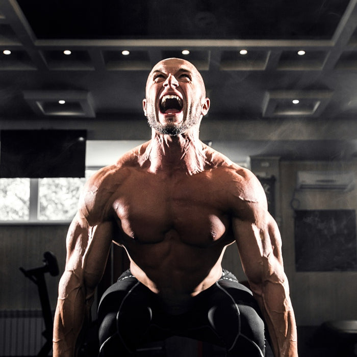 5 Exercises to Increase Your Sumo Deadlift and Posterior Chain Size