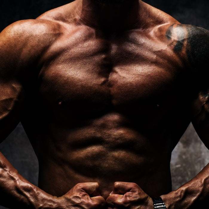17 Tips to Drive Better Upper Body Gains
