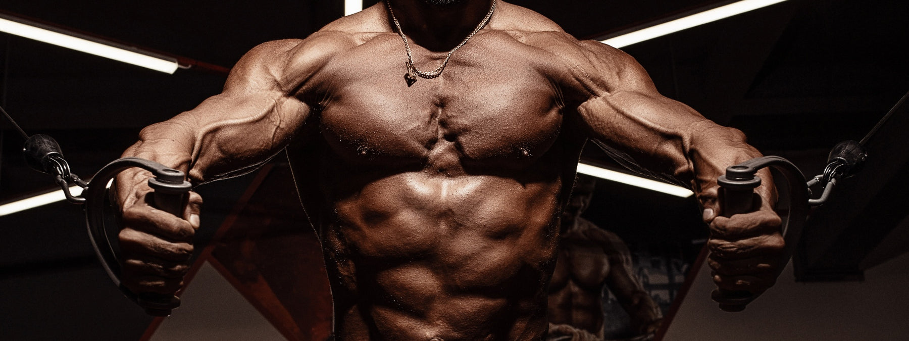 The Core-4 Strength & Hypertrophy Workout Program