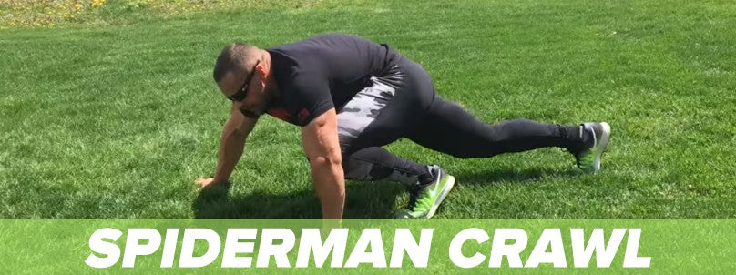 Spider plank exercise hotsell