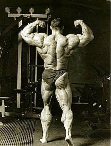 Dorian Yates: The 6x Mr. Olympia Champion