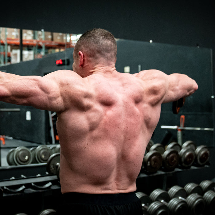 6 Week Shoulder Workout Plan for Bigger Delts