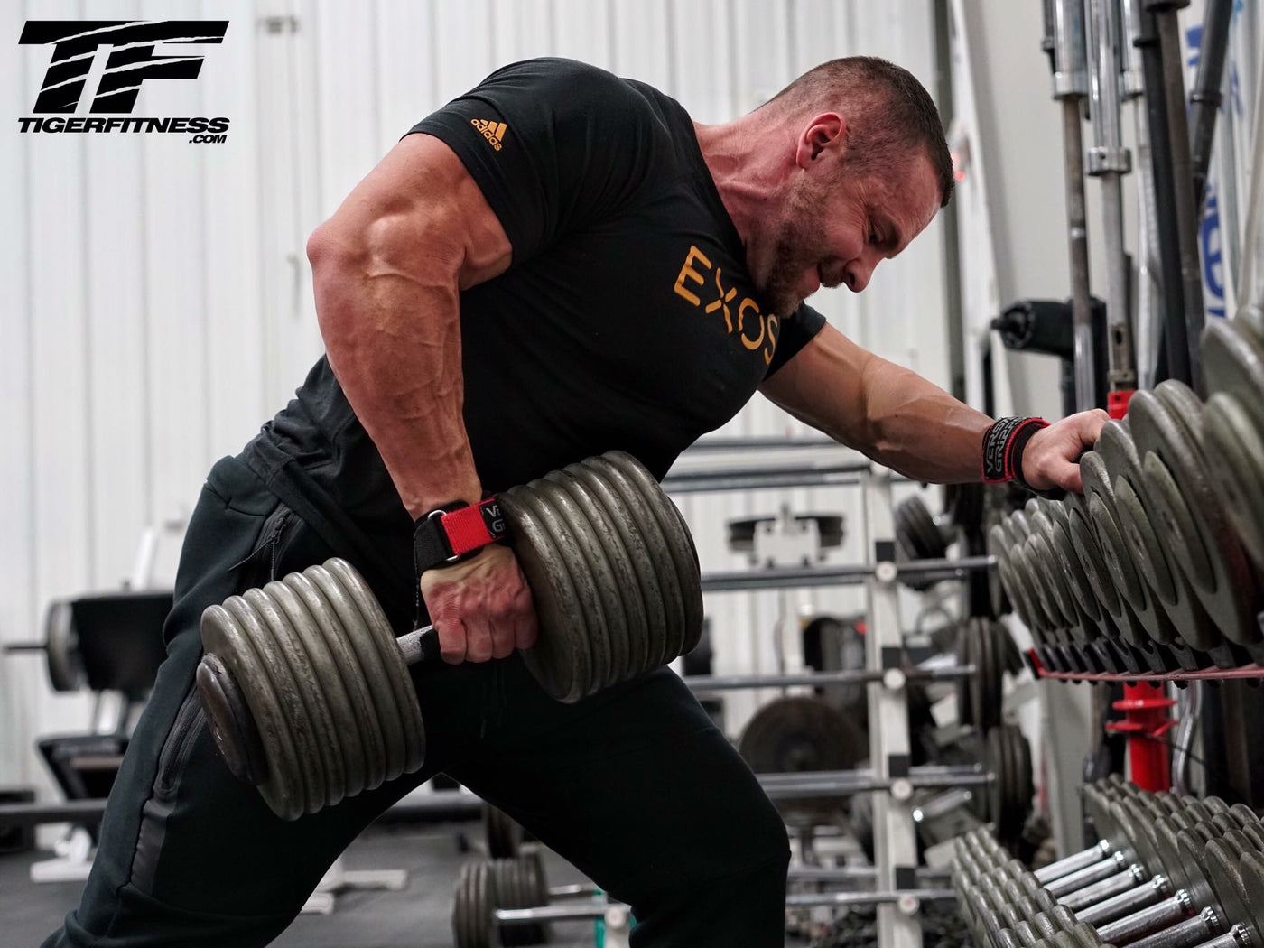 4 Week Circuit Training Program for Fat Loss