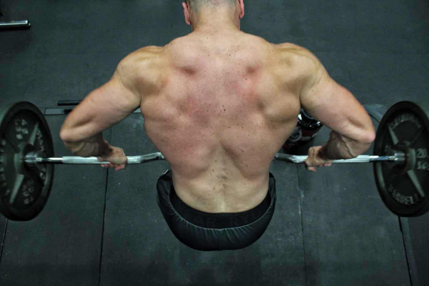 8 Week Back Workout Plan for Width and Thickness