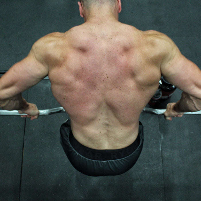 8 Week Back Workout Plan for Width and Thickness