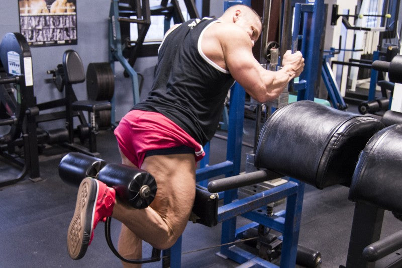 Machine Only Workout Plan for Beginners