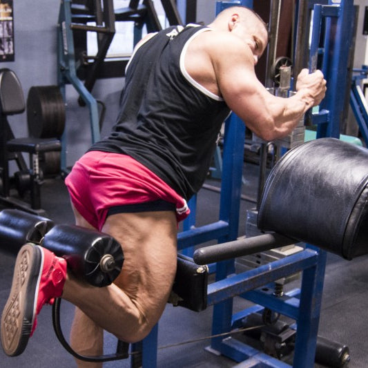 Machine Only Workout Plan for Beginners