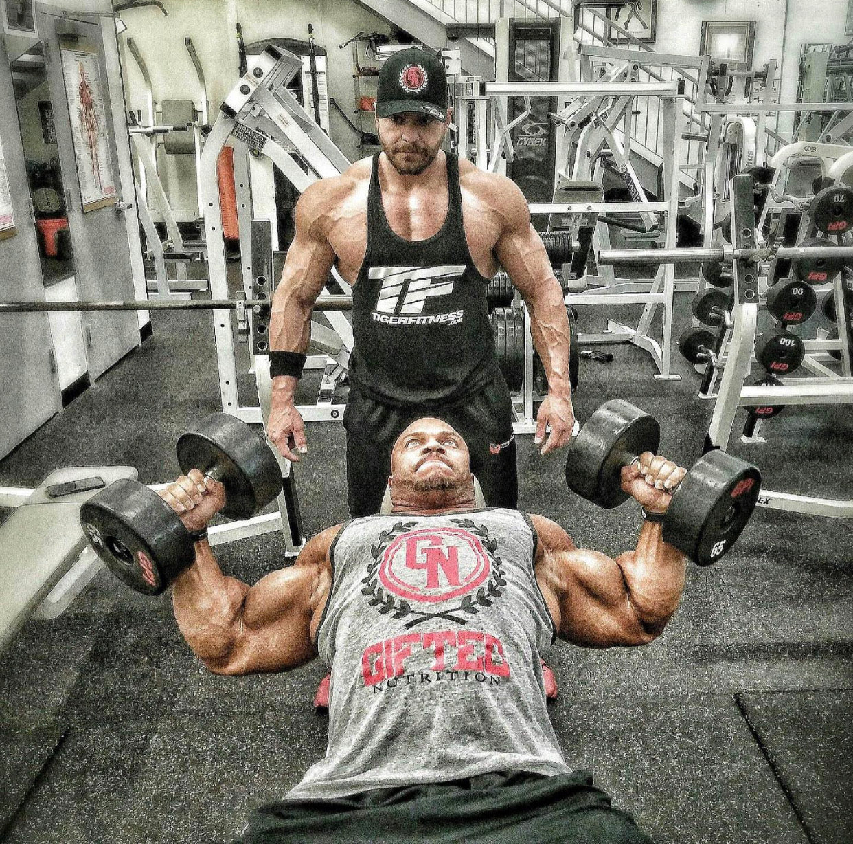 6 Day Arnold Split for Advanced Lifters