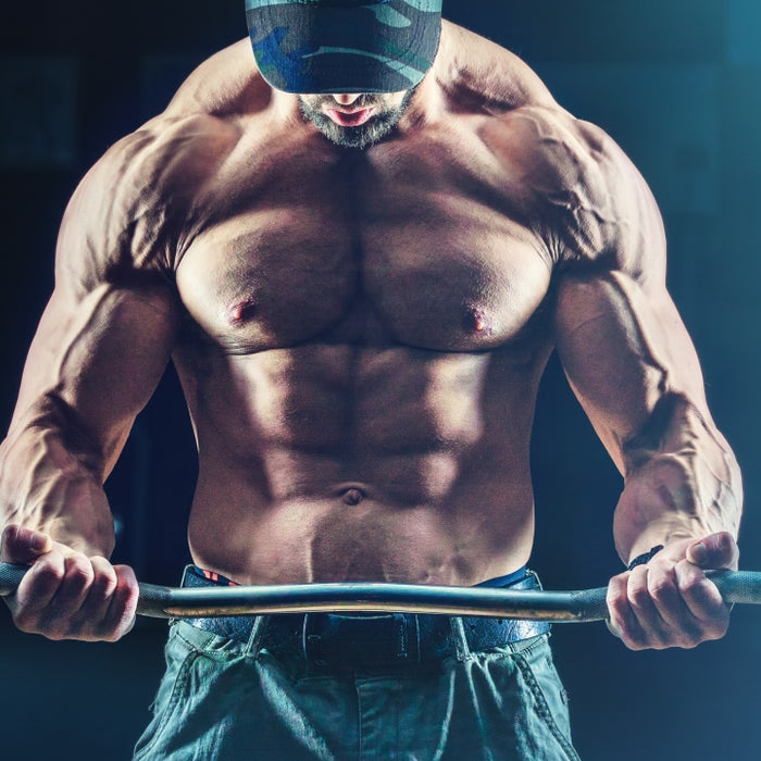 Fast Gains: A Quick Start Muscle Building Workout Plan