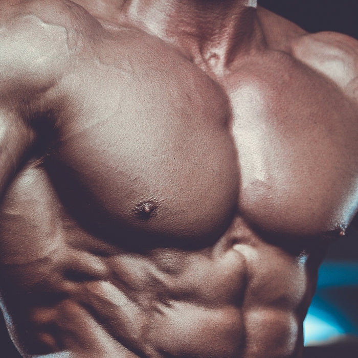 Is Turning Fat Into Muscle Even Possible?