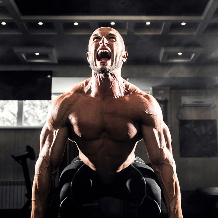 Bodybuilder getting back on track with muscle gains