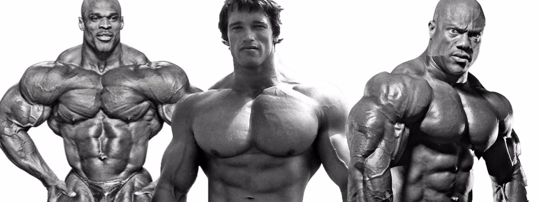 Illustration ranking the top bodybuilders of all time