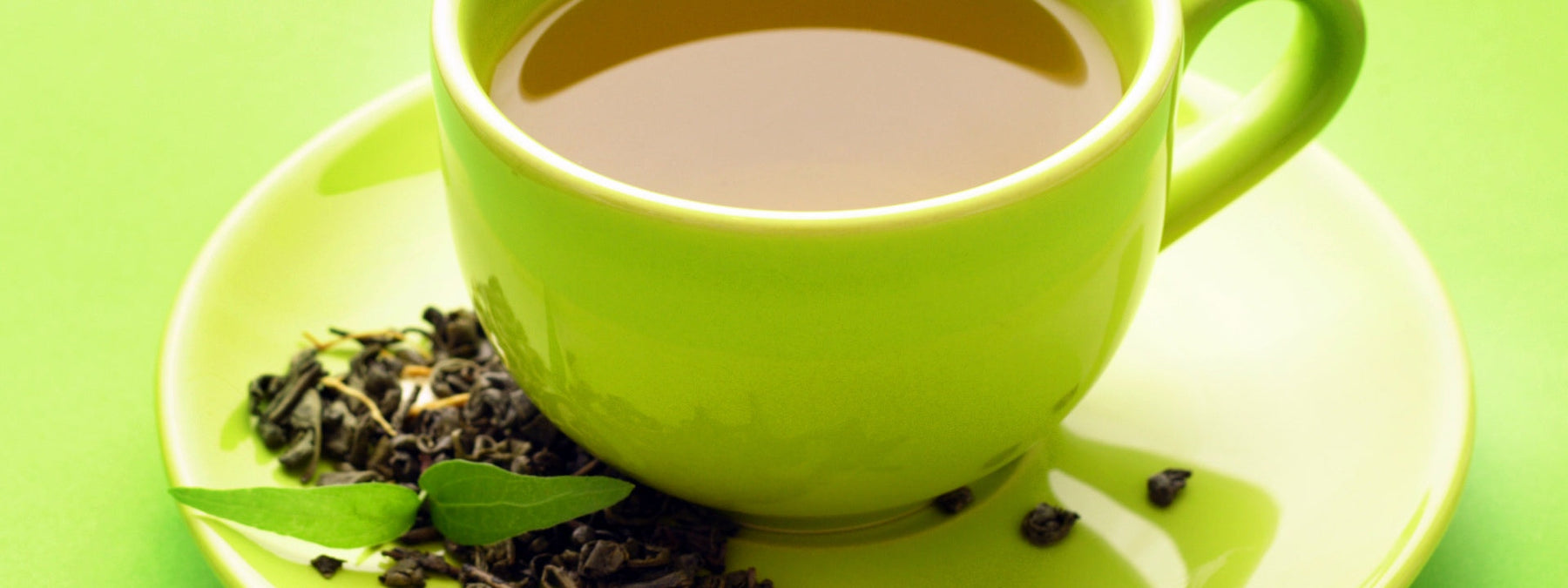 Green tea leaves representing green tea extract for health