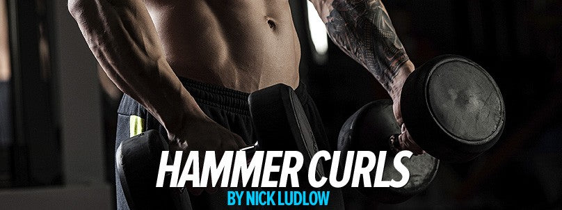 How to Perform the Hammer Curl