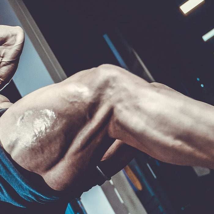 Doggcrapp Training 101 - The Ultimate Load