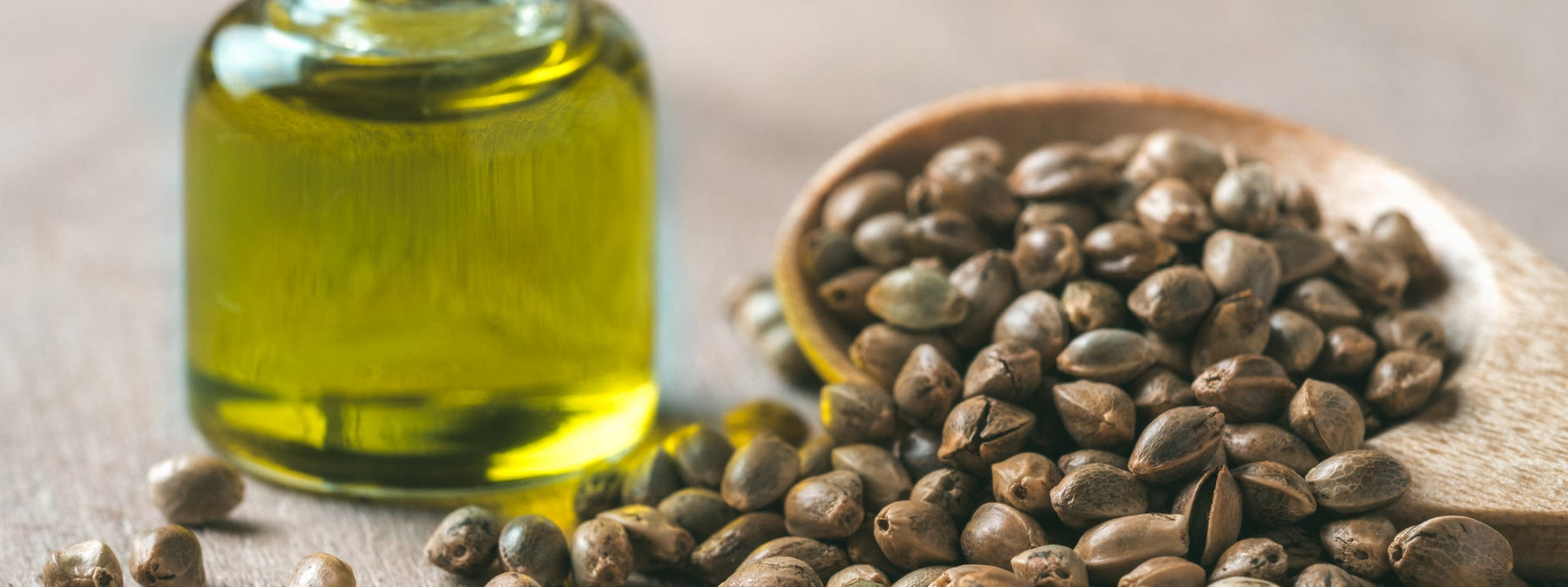 Hemp seeds and their history and uses