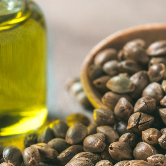 Hemp seeds and their history and uses