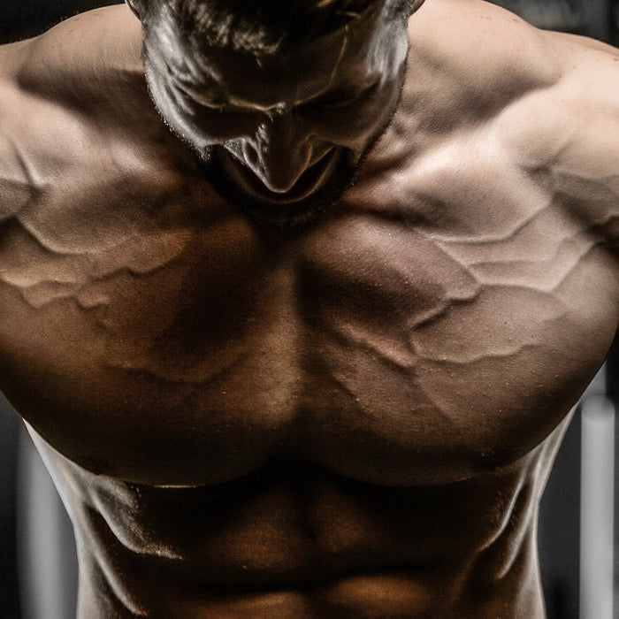 How Much Volume Do You Need to Build Muscle?