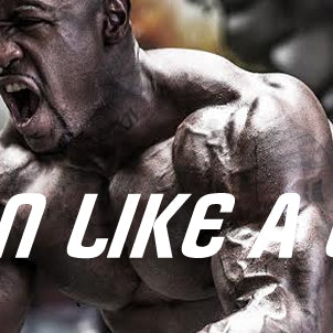 train-like-a-lion-mike-rashid