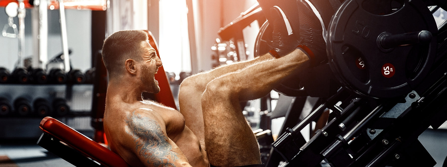 10 Muscle Building Facts Everyone Needs to Know