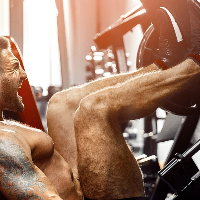 10 Muscle Building Facts Everyone Needs to Know