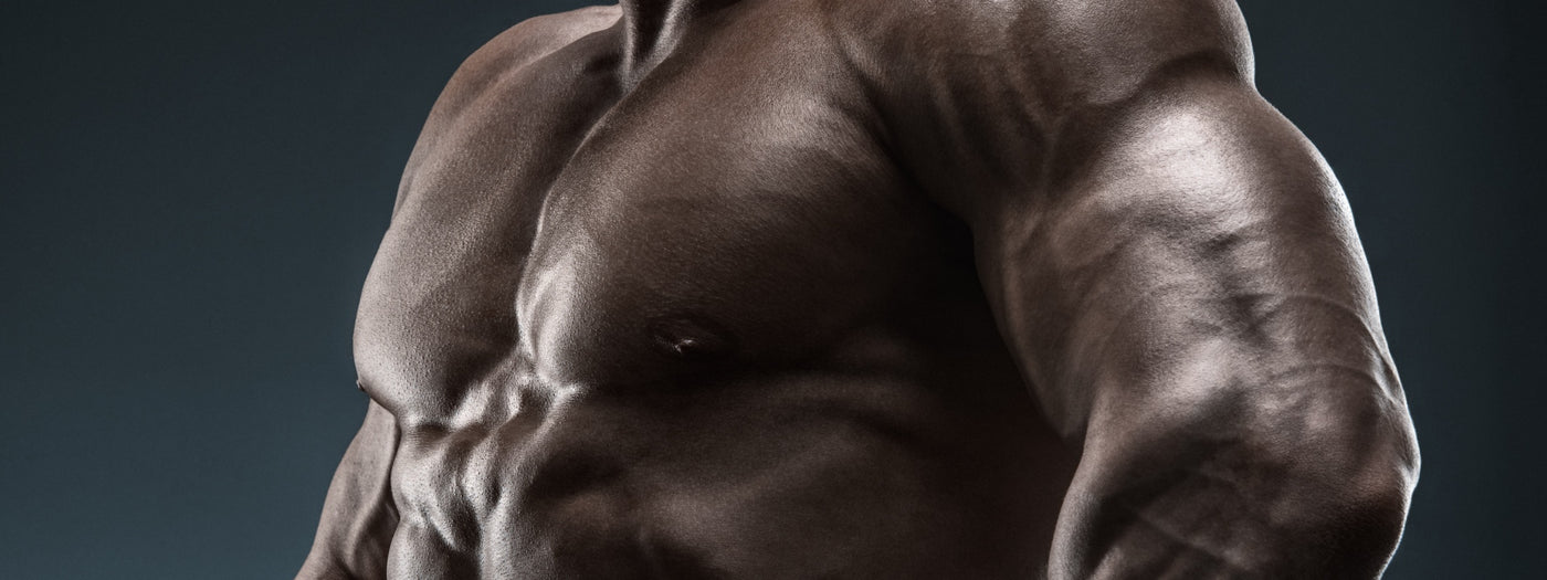 Tiger Fitness Ultimate 10 Week Mass & Strength Building Program