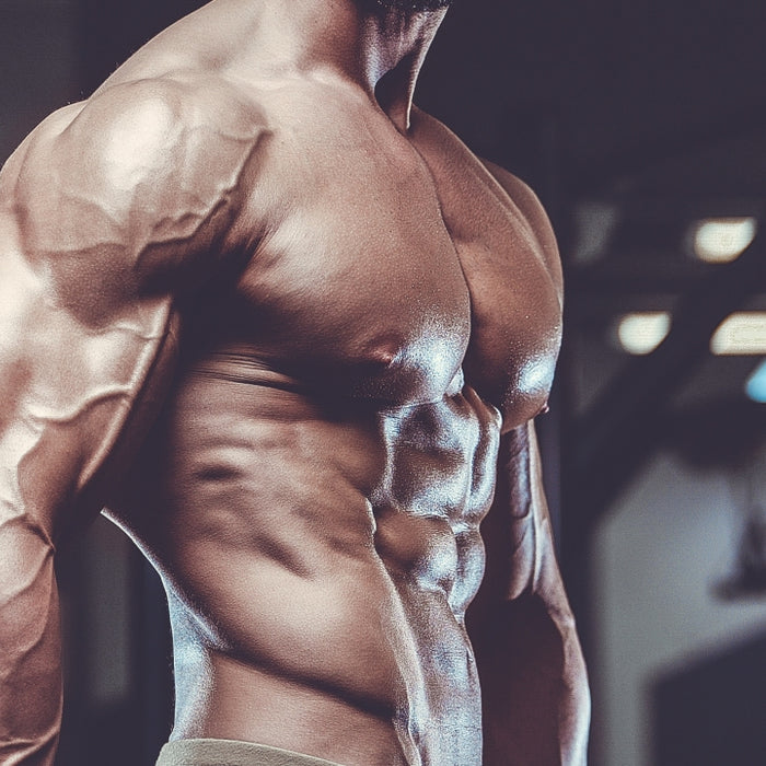 Build Strength With This 3 Day Powerbuilding Program