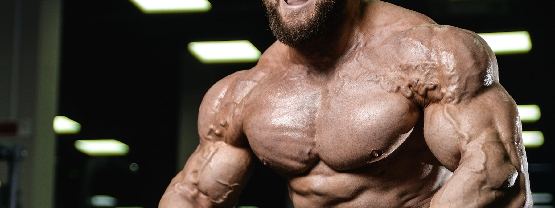 6 Habits of Successful Bodybuilders You Need to Take Seriously