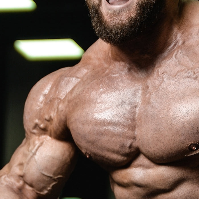 6 Habits of Successful Bodybuilders You Need to Take Seriously