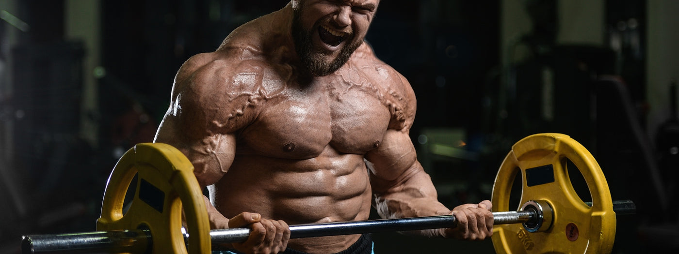 Into the Black - Intense 28 Day Powerhouse Workout
