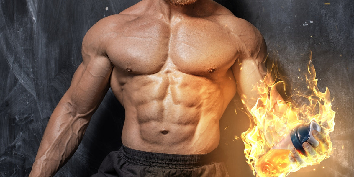 l carnitin erfahrungen team andro   Carnitine can actually ENHANCE your testosterone levels, #update #research #science #testostrone #science #tgif #flexfriday #fyp #jym #jymsupps Have you experienced the benefits