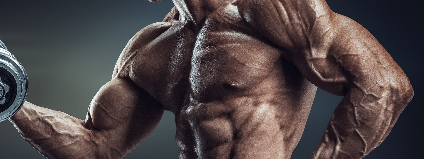 Full-Body Workouts vs. Split Training: Complete Pros & Cons