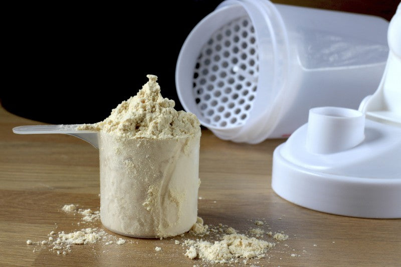 Best Protein Powder for Muscle Gain & Recovery 2026