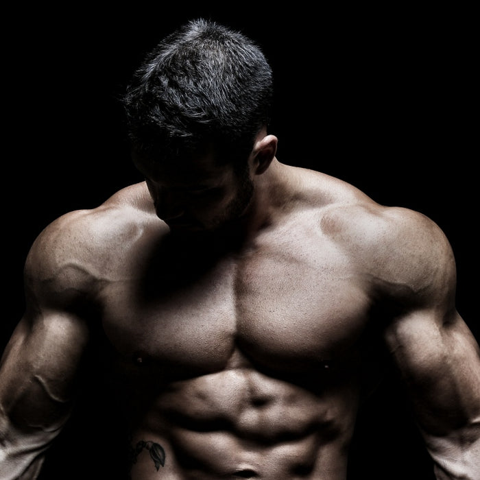 7 Best Shoulder Exercises for Complete Deltoids