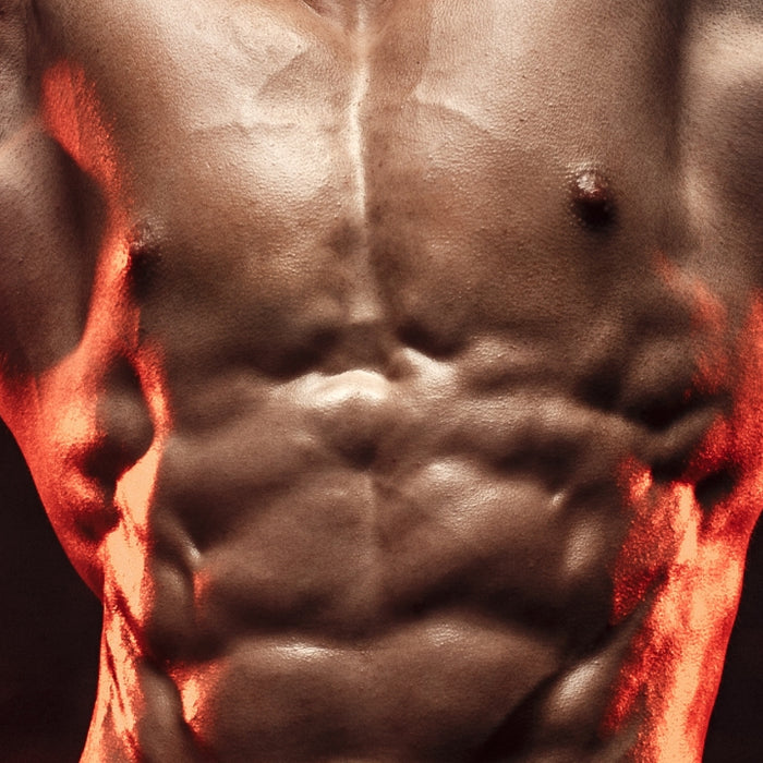 How to Get Shredded By Summer