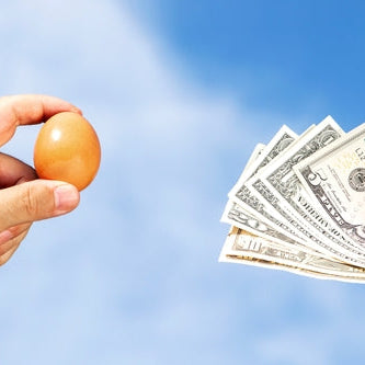 Can you eat a healthy breakfast without eggs?
