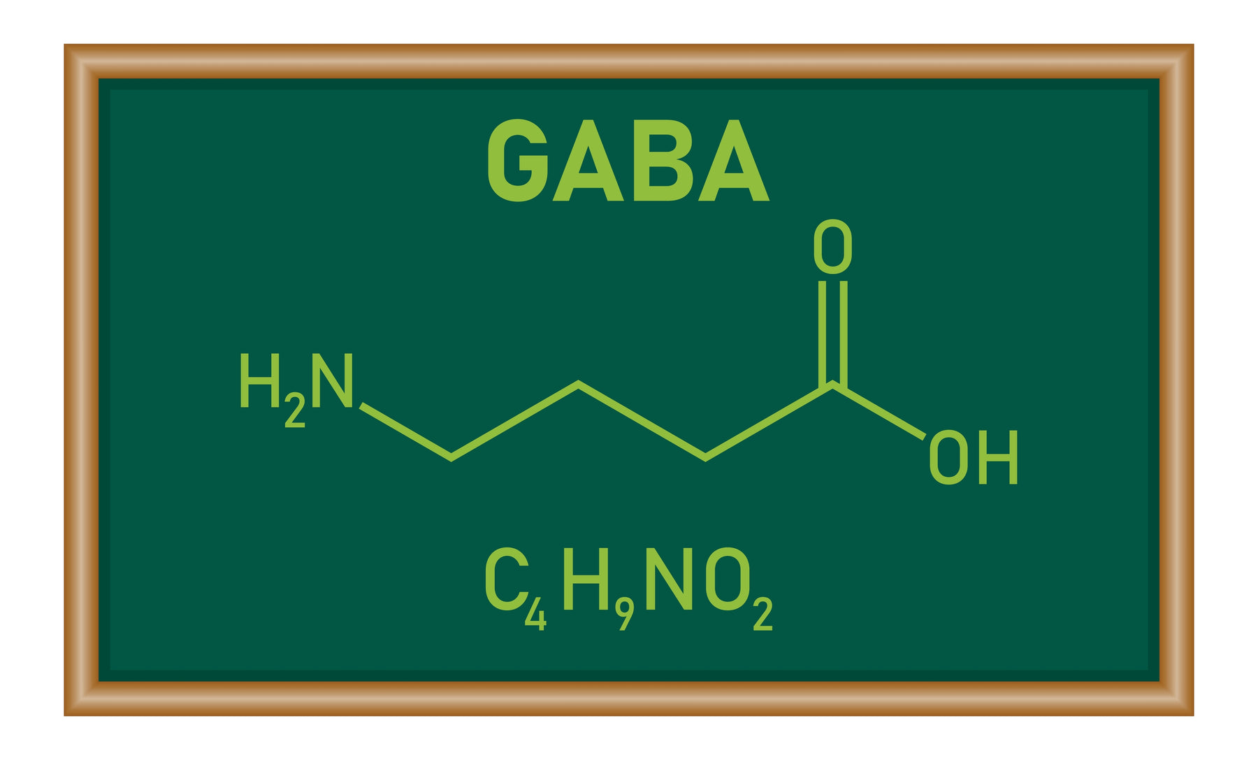 Benefits of Gamma-Aminobutyric Acid