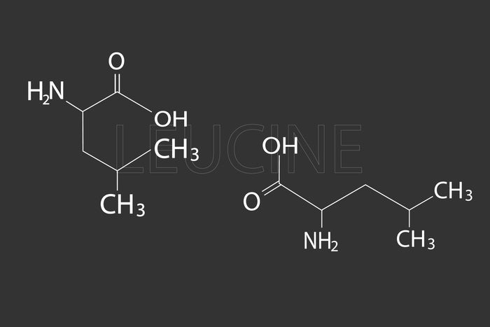 Leucine: Essential Amino Acid Explained