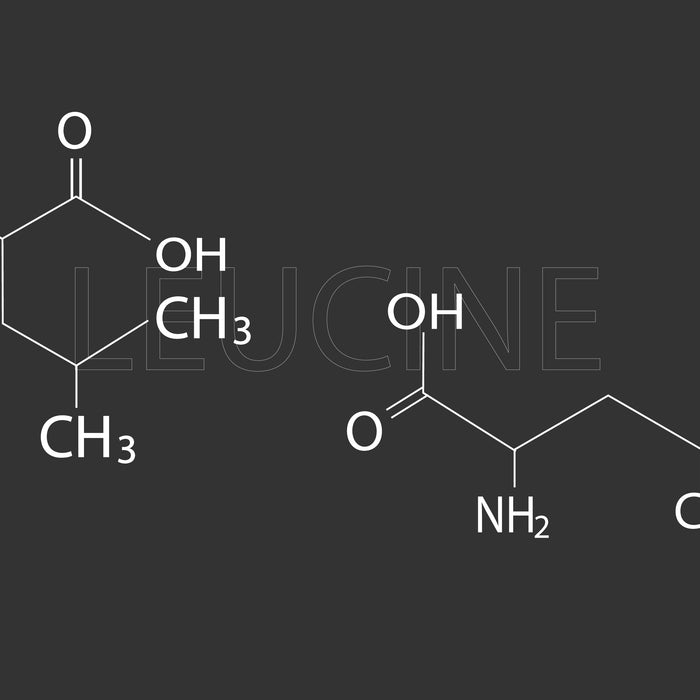 Leucine: Essential Amino Acid Explained