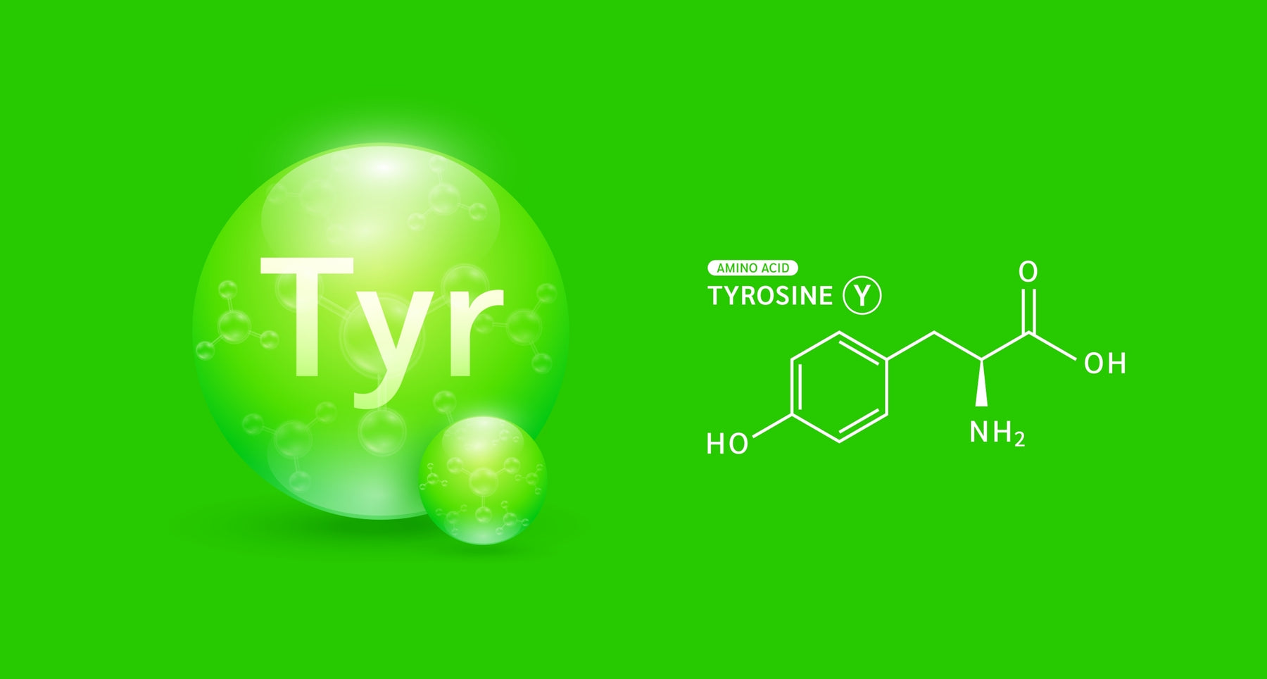 The Basics of Tyrosine: An Overview