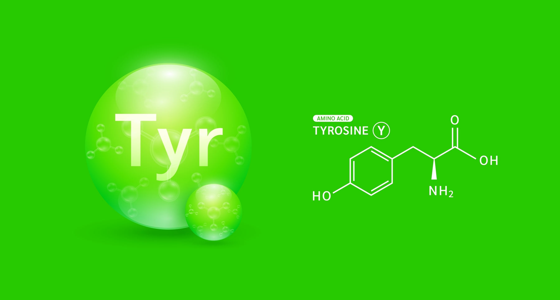 The Basics of Tyrosine: An Overview