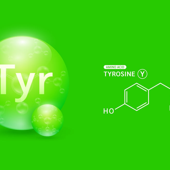 The Basics of Tyrosine: An Overview