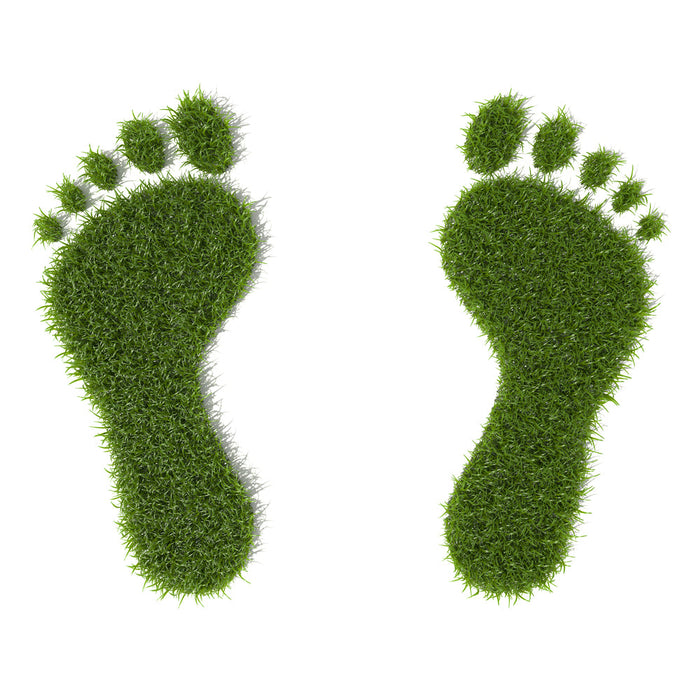 What is Turf Toe