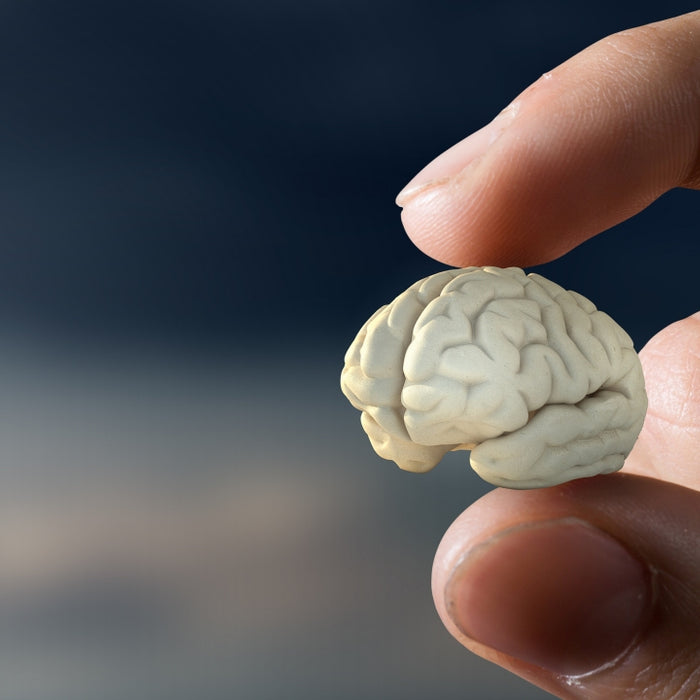 Link Between Obesity and Brain Shrinkage?